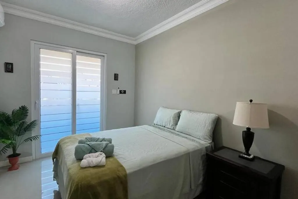 2Br Condo W/Pool; Across Ac Hotel Κίνγκστον Διαμέρισμα